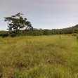 5 Acres Commercial Land for Sale in Syokimau, Mwananchi Rd - 1