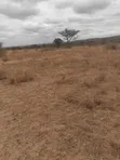48 Acres Land for Sale in Lukenya, Machakos - 5