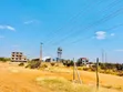 Vipande 50x100 Juja Kalimoni Vinauzwa - 3