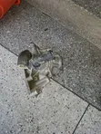 Toyota Harrier Hybrid Water Pump - 2