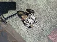 Toyota Harrier 2AZ Steering Pump - 2
