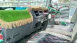 Isuzu FRR KDC Slayqueen 2021 Lori - 5