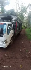Isuzu NPR KCB Open Body Truck - 3