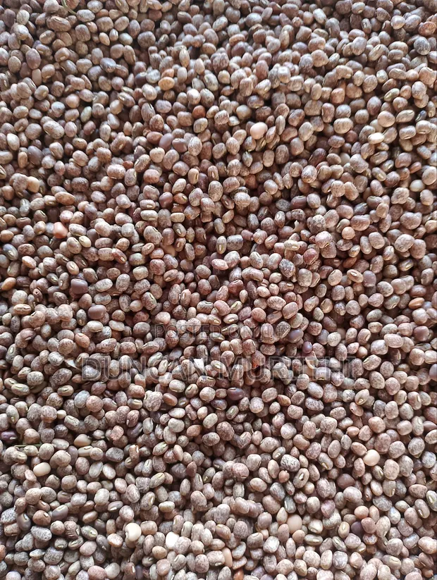Dry Brown-Speckled Cowpeas - 1
