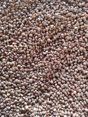 Dry Brown-Speckled Cowpeas