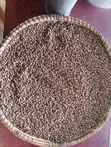 Maharagwe Ya Brown-Speckled Makavu - 2