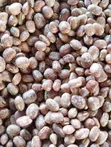 Maharagwe Ya Brown-Speckled Makavu - 3