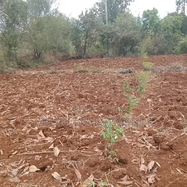 Eneo la 1 Eka Linauzwa Maguguni, Barabara ya Thika-Garissa - 1