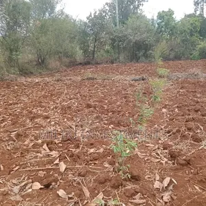 1 Acre Land for Sale at Maguguni, Thika-Garissa Road