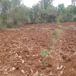 Eneo la 1 Eka Linauzwa Maguguni, Barabara ya Thika-Garissa - 1