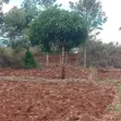 Eneo la 1 Eka Linauzwa Maguguni, Barabara ya Thika-Garissa - 2