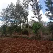 Eneo la 1 Eka Linauzwa Maguguni, Barabara ya Thika-Garissa - 3