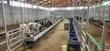 Dairy Manager Job - Olengeruone - 2
