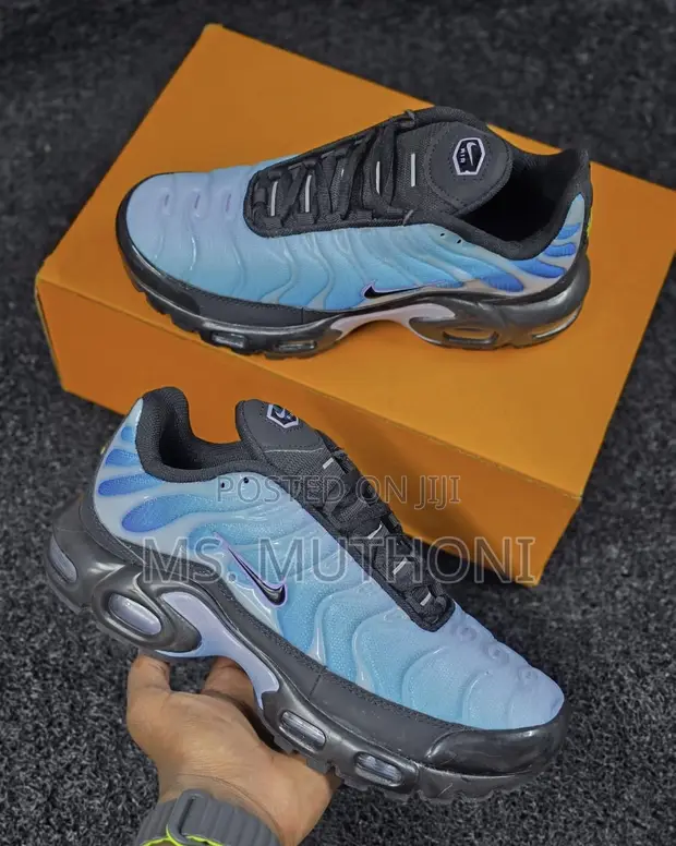 Nike Air Max Plus (TN) Blue Gradient - 1