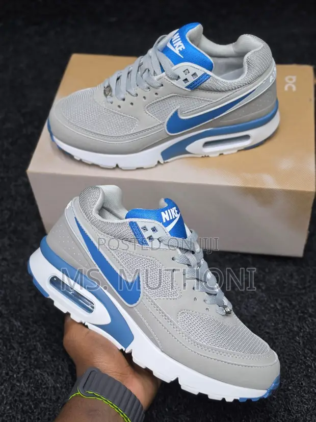 Nike Air Max Grey & Royal Blue Sneakers - 1