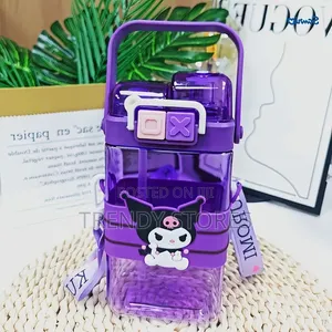 570ml Partitioned Disney Sanrio Melody & Kuromi Water Bottle