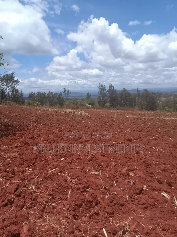 1 Acre Plot for Sale in Kamahuha-Igikiro, Murang'a - 1