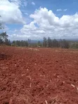 Eneo la 1 Eka Linauzwa Kamahuha-Igikiro, Murang'a - 1