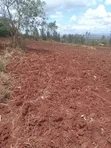 Eneo la 1 Eka Linauzwa Kamahuha-Igikiro, Murang'a - 3