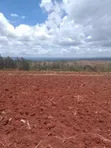Eneo la 1 Eka Linauzwa Kamahuha-Igikiro, Murang'a - 4