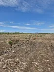 Prime Chumani Beach Plots 900m From Ocean - 3