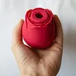 Rechargeable Rose Toy Vibrator - Kifaa cha Afya ya Mtu Mzima - 2