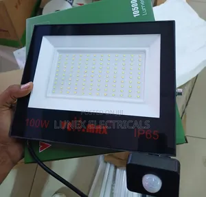 100W Solar Motion Sensor Floodlight