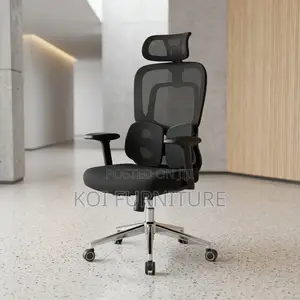 High Executive Office Chair with Dual Backrest Support