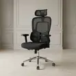 High Executive Office Chair with Dual Backrest Support - 2