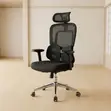 High Executive Office Chair with Dual Backrest Support - 3