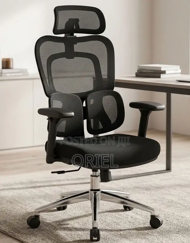Kiti cha Ofisi cha Executive Ergonomic chenye Mgongo Mrefu wa Mesh - 1