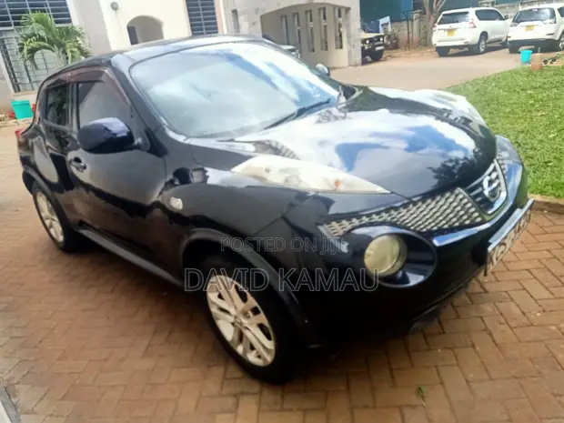 Nissan Juke 2011 Bluu - 1