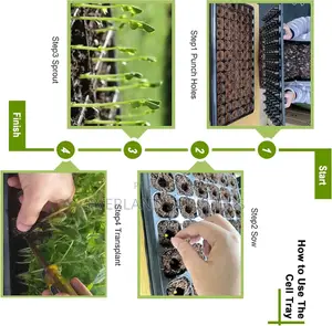 Seedling Tray for Plant Germination
