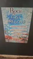 Roch Chest Freezer - 4