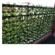 Fensi ya Nyasi Bandia ya Faragha 1m x 3m - 1