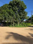 1 Acre Plot for Sale in Mtwapa Creek, Mt Sinai - 1