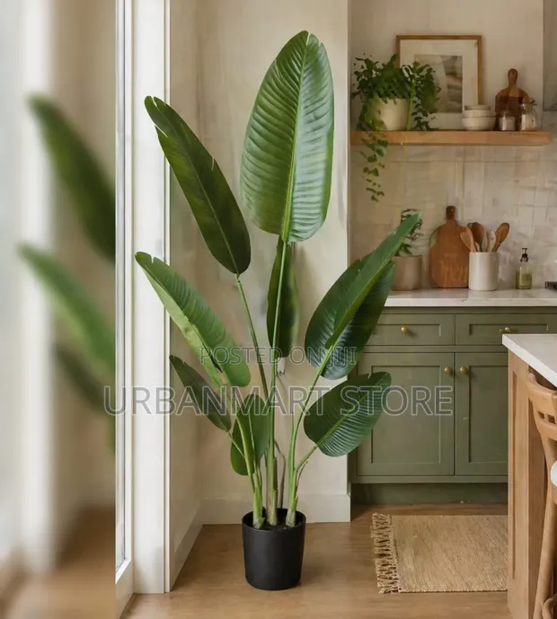 Large Green Artificial Banana Plant (180cm) - 1