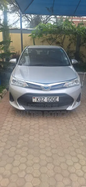 Toyota Corolla Fielder 2019 Silver
