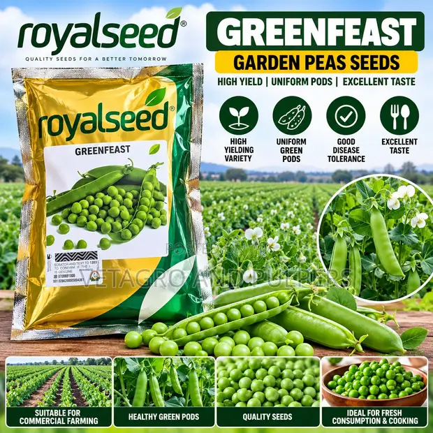 Royal Greenfeast Peas Seeds 1KG & Continental Leek Seeds - 1