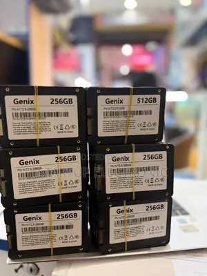 256GB 2.5" SATA SSD