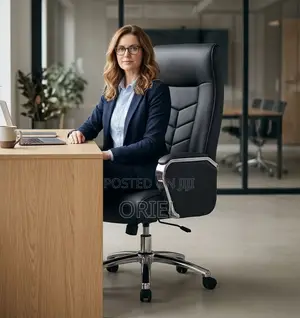 Executive Leather Padded Director Office Chair