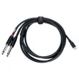 Y-Patch Cable 1.8m USB-C to 2x 6.3mm Jack - 1