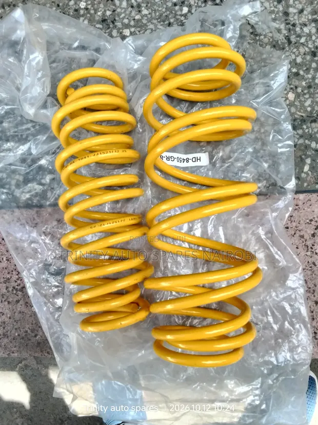 Brand New Toyota Premio Heavy Duty Coil Springs (Front & Rear) - 1