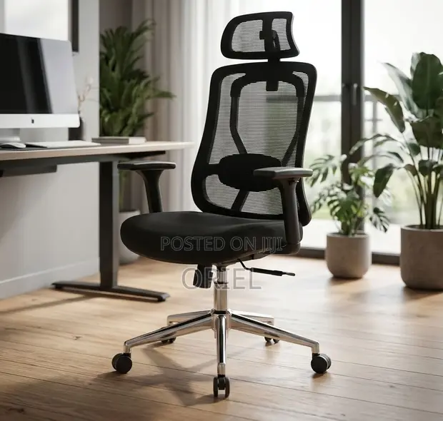 Orthopedic Office Chair with Adjustable Knob - 1