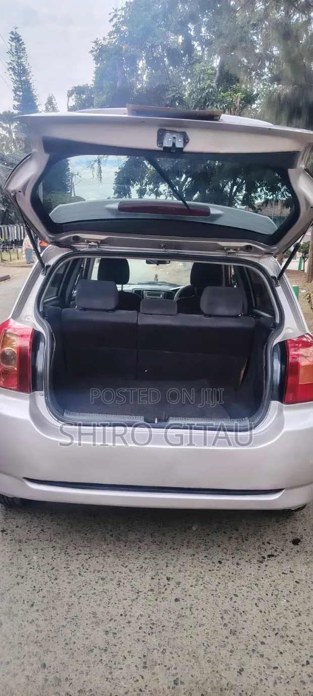 Toyota Allex 2005 Silver - 1