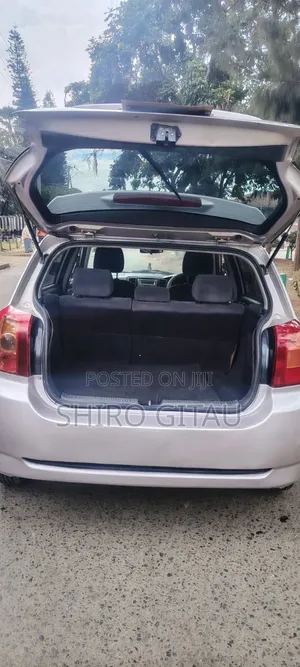 Toyota Allex 2005 Silver