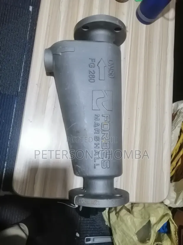 Forbes Steam Separator DN50 - 1