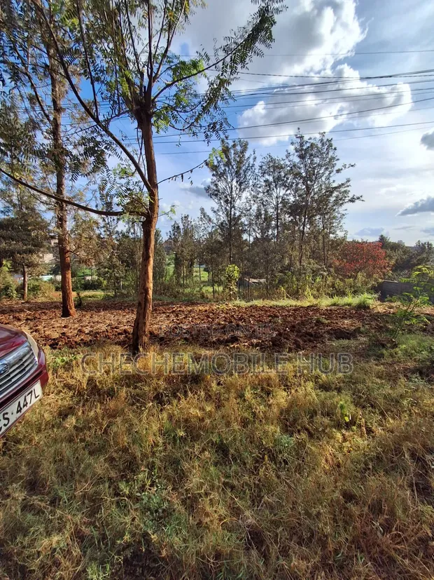 1 Acre Land for Sale in Nairobi, Maziwa Estate - 1
