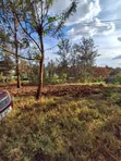 1 Acre Land for Sale in Nairobi, Maziwa Estate - 1