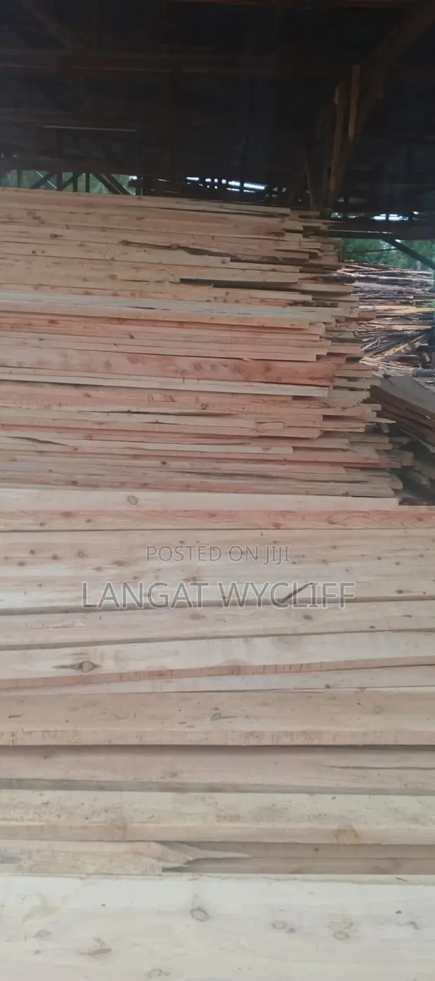 Pressure Treated Lumber - 1
